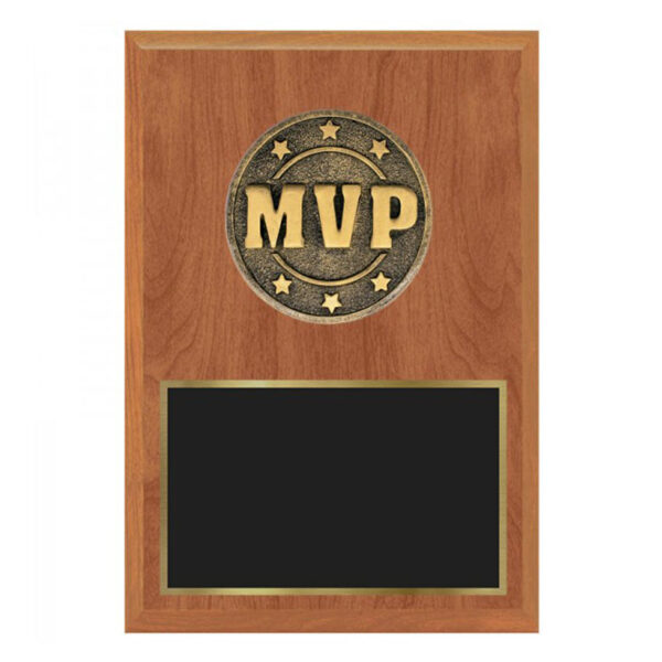 MPV plaque