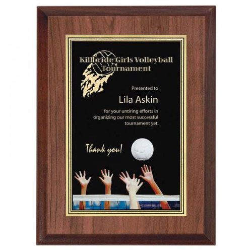 volleyball award plaques