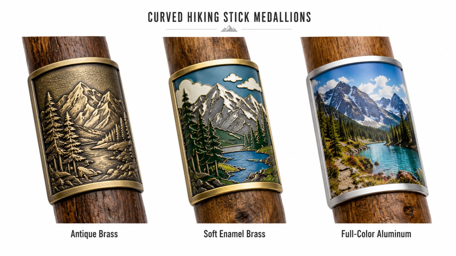 260811-t1353-walking-stick-pins-16
