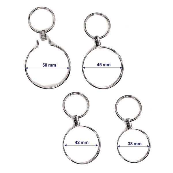 coin bezel in different sizes