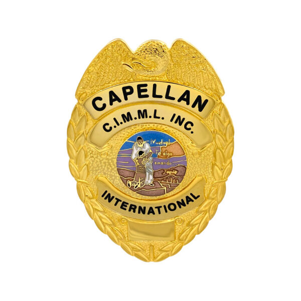 custom multiple-piece law enforcement badges