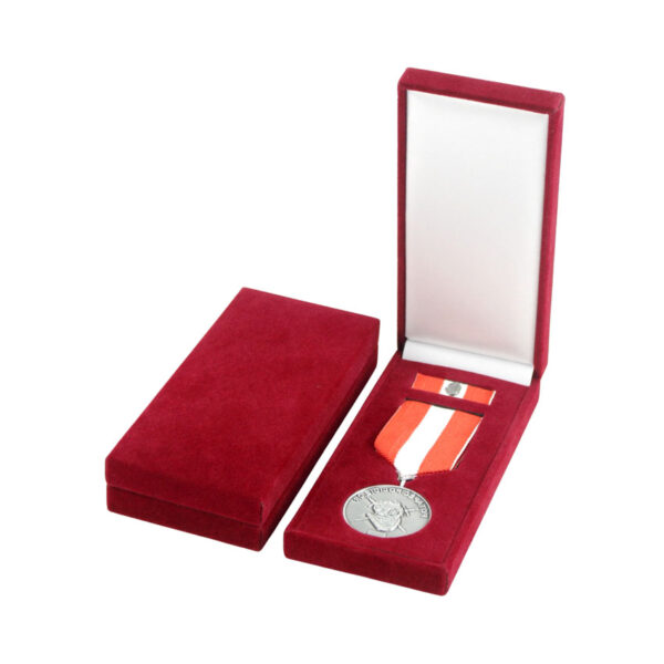 military award display case