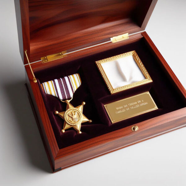 army medal display