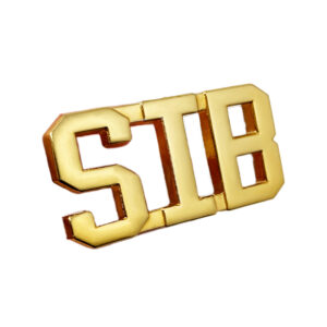 custom letter lapel pins with cutout gold plating made from jin sheu