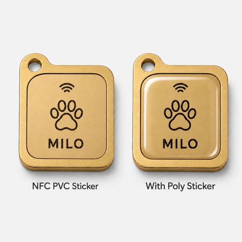 Custom NFC Dog Tag